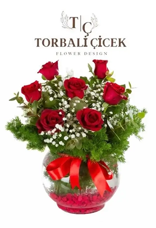 FANUSTA 7 GUL